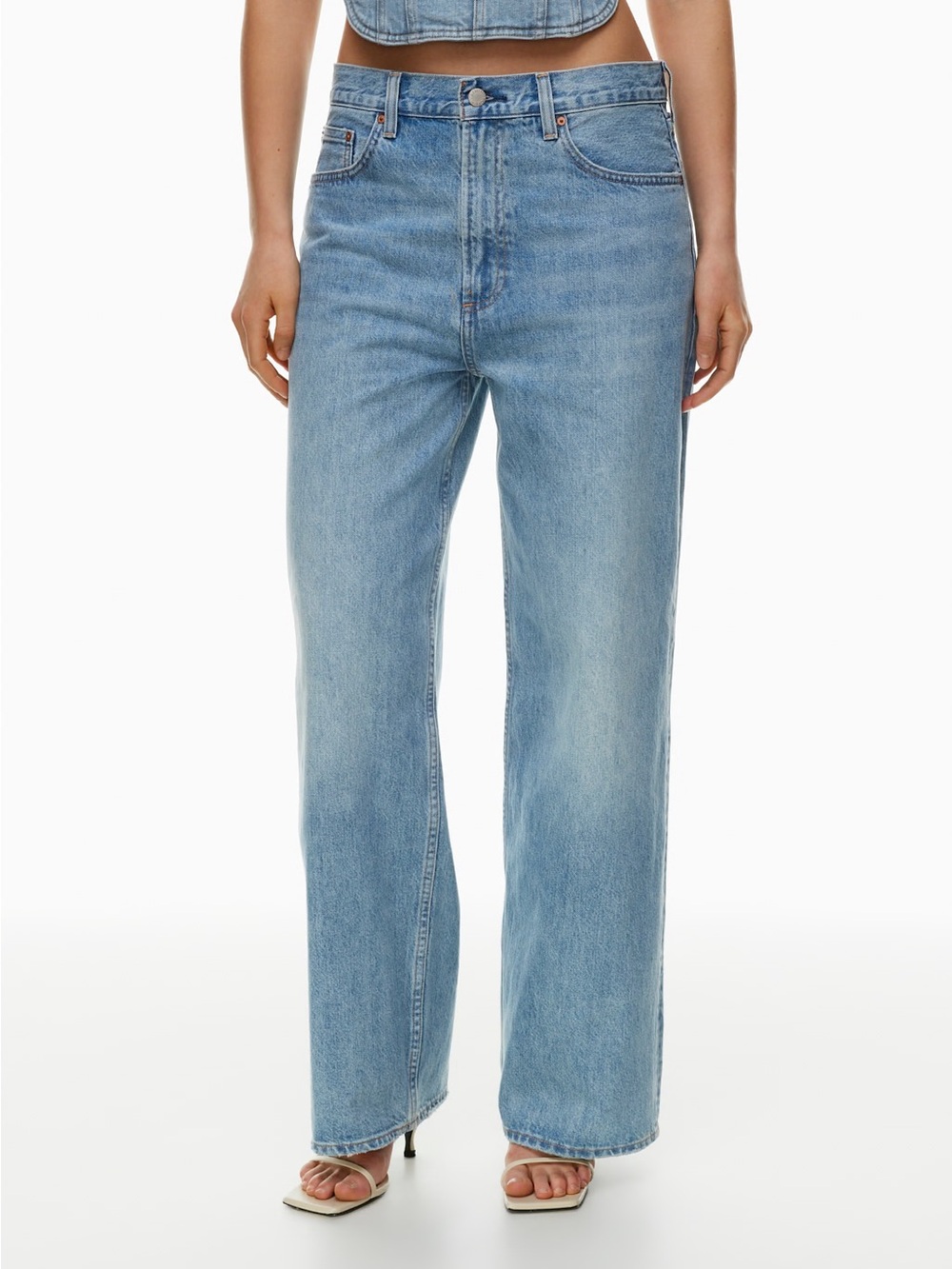 Aritzia Denim Forum The '90s Lo-Rise Baggy Wide Jean